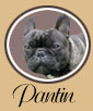 Cliquez pour tout savoir sur Pantin !