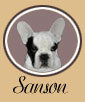 Cliquez pour tout savoir sur Sanson !